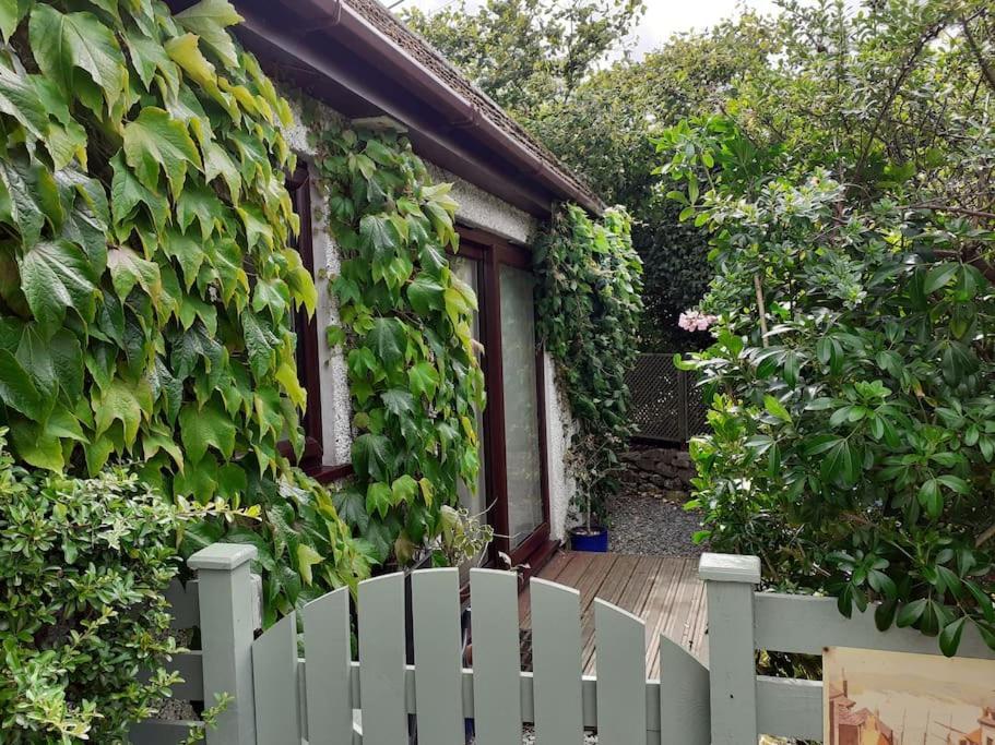 Apartment Oakey Orchard - Cosy In Tamar Valley, Cornwall *