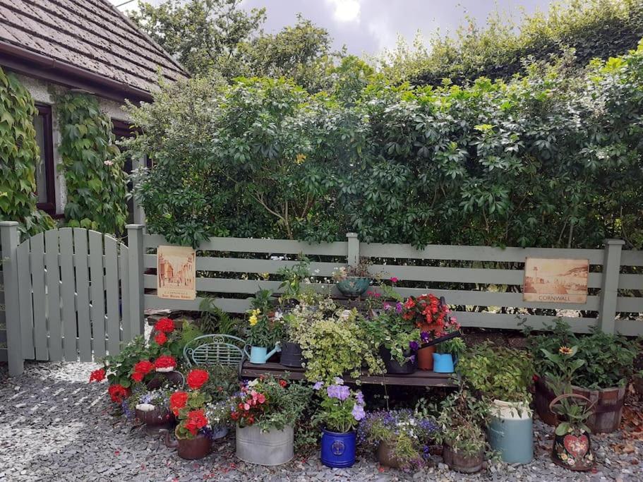 Oakey Orchard - Cosy In Tamar Valley, Cornwall Apartment Saint Dominick